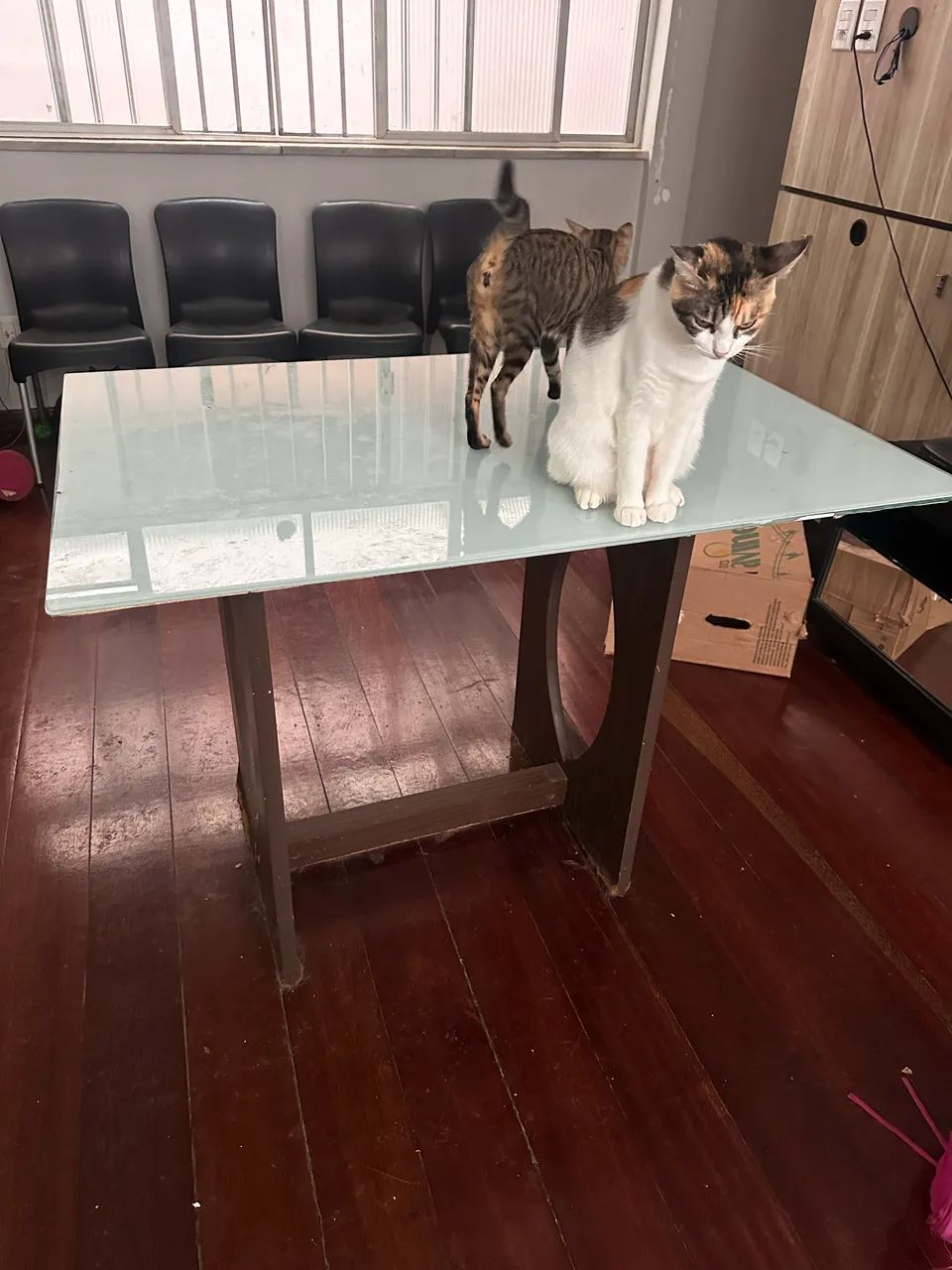 Mesa de Jantar + Jogo de Cadeiras