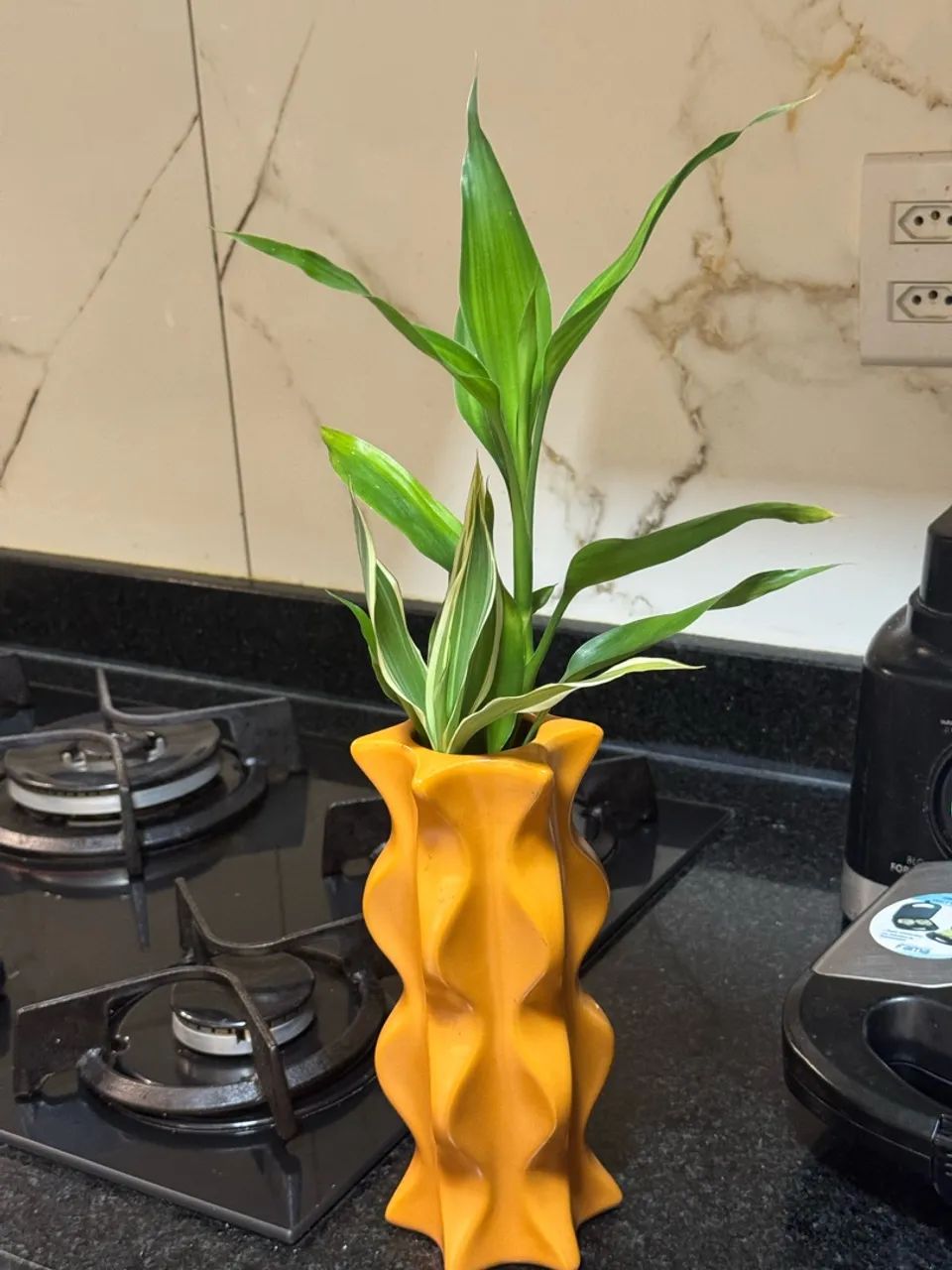 Vende-se planta 
