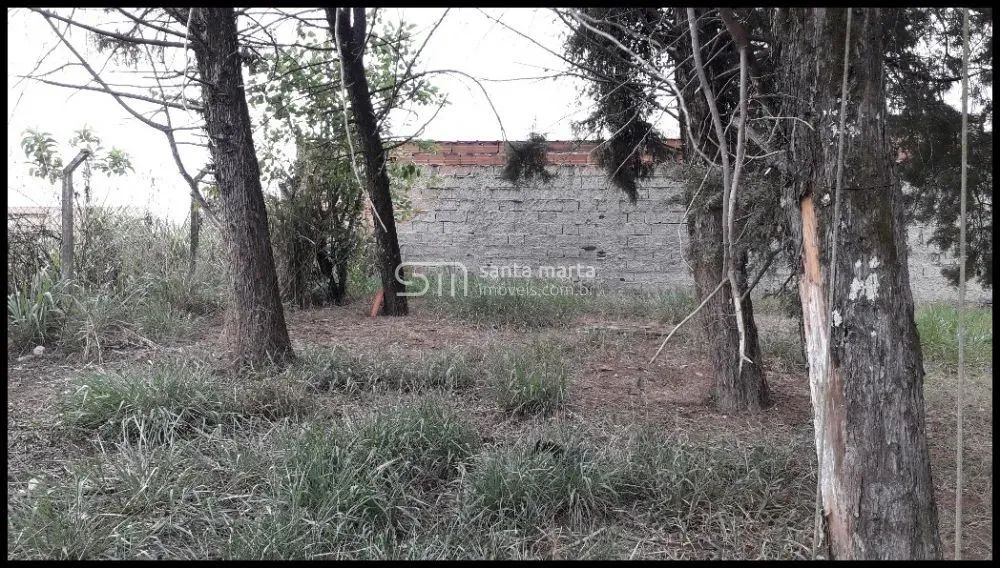 ÁREA PLANA JUNTO À VIA DUTRA E AO SHOPPING - LORENA - SP - Foto 4