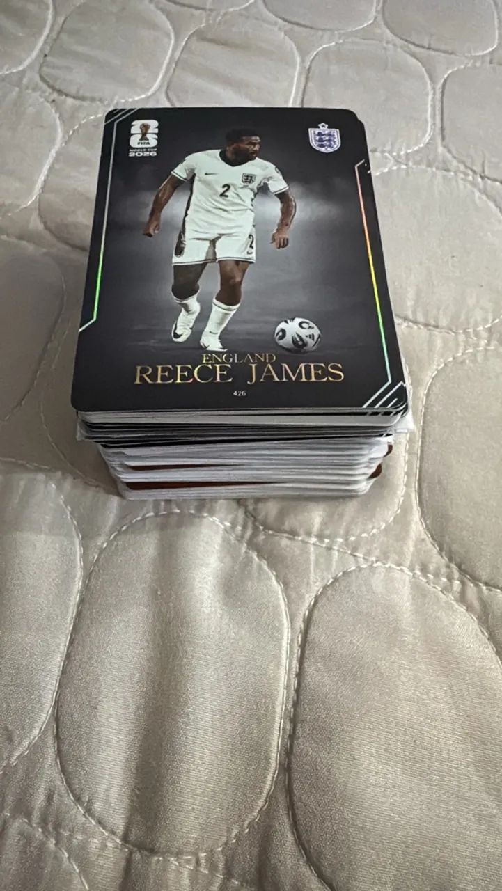 Cards Panini kayou 