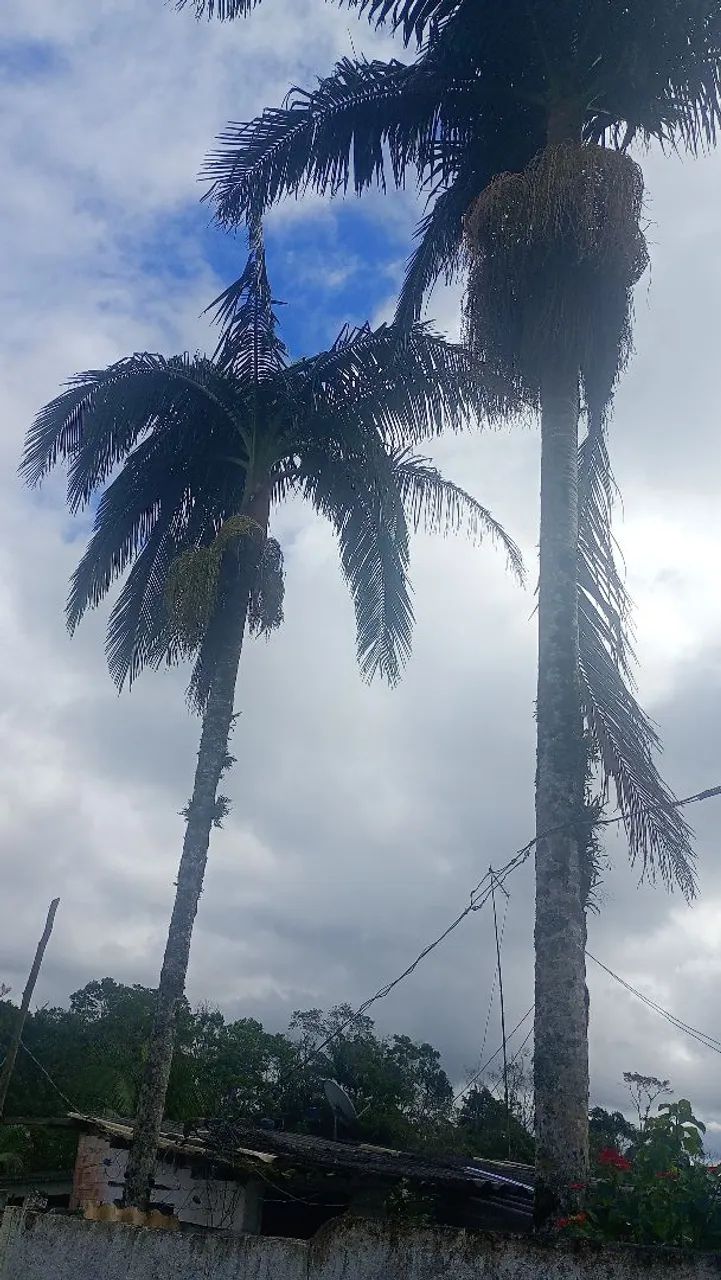 Uma chacarra. Com 1.600mt - Foto 2