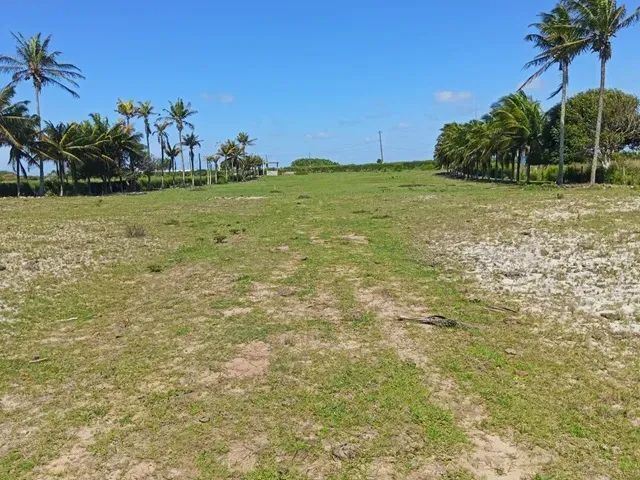 ÁREA 16.705,73 M² COM GALPÃO 300 M² - Foto 4
