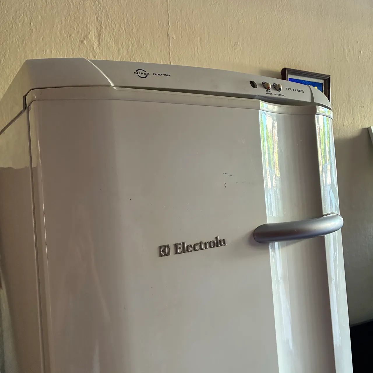 Freezer Eletrolux FFE24
