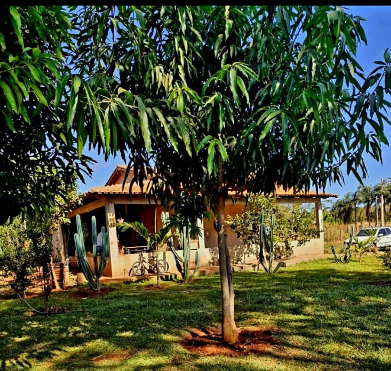 Vendo Sítio em Trindade GO - Foto 3