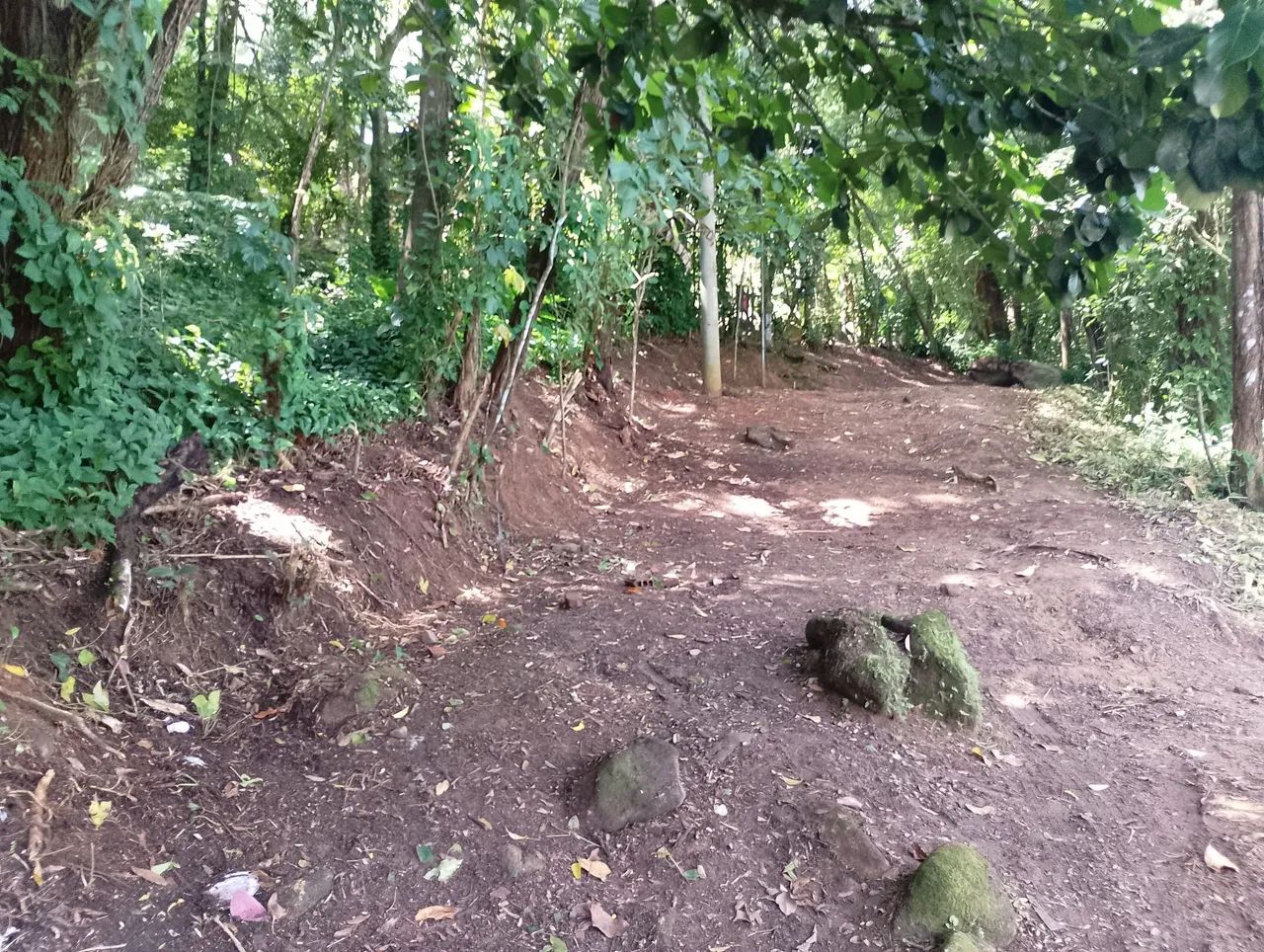 Terreno  - Foto 2