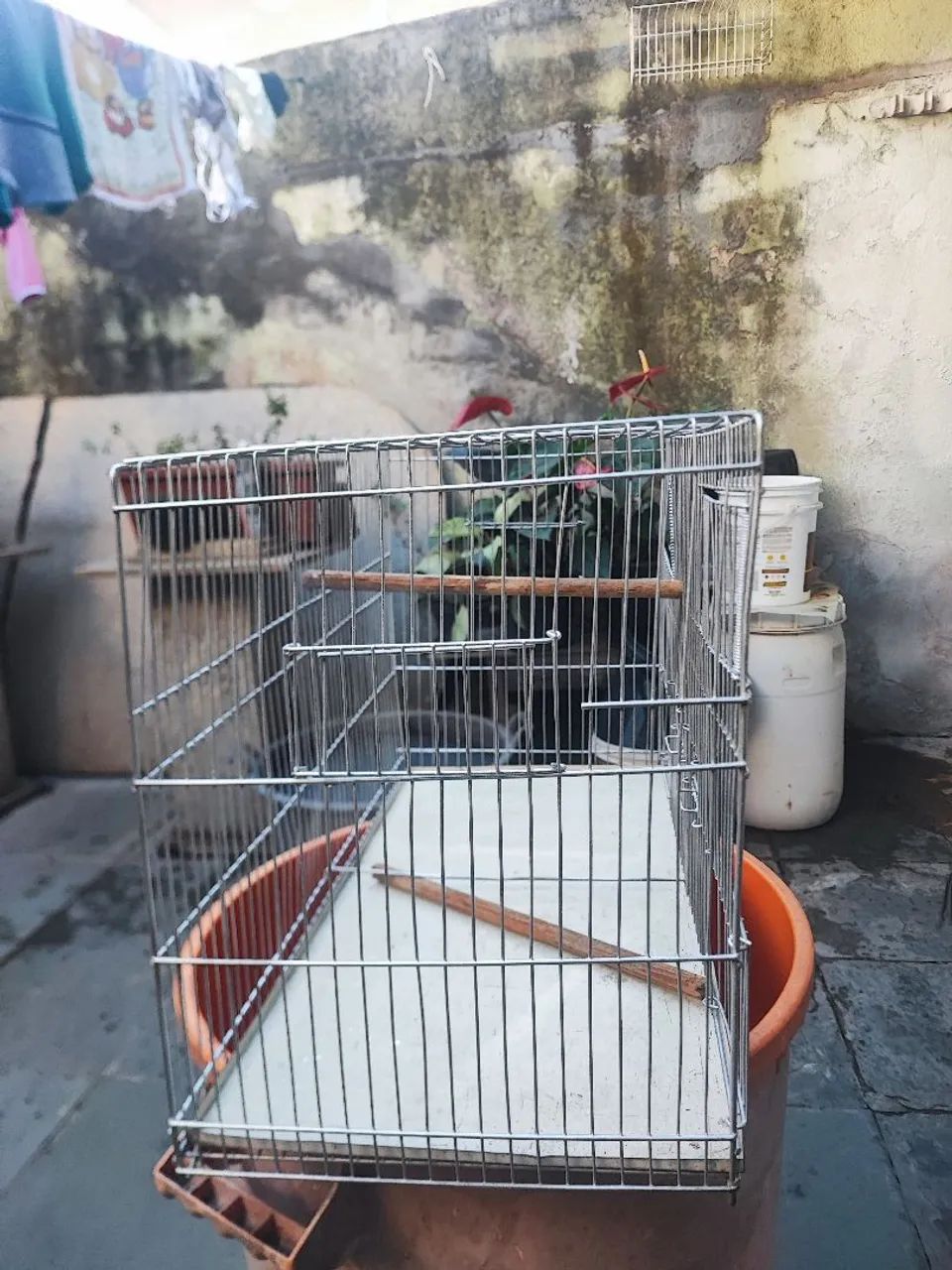 Gaiola  - Foto 3