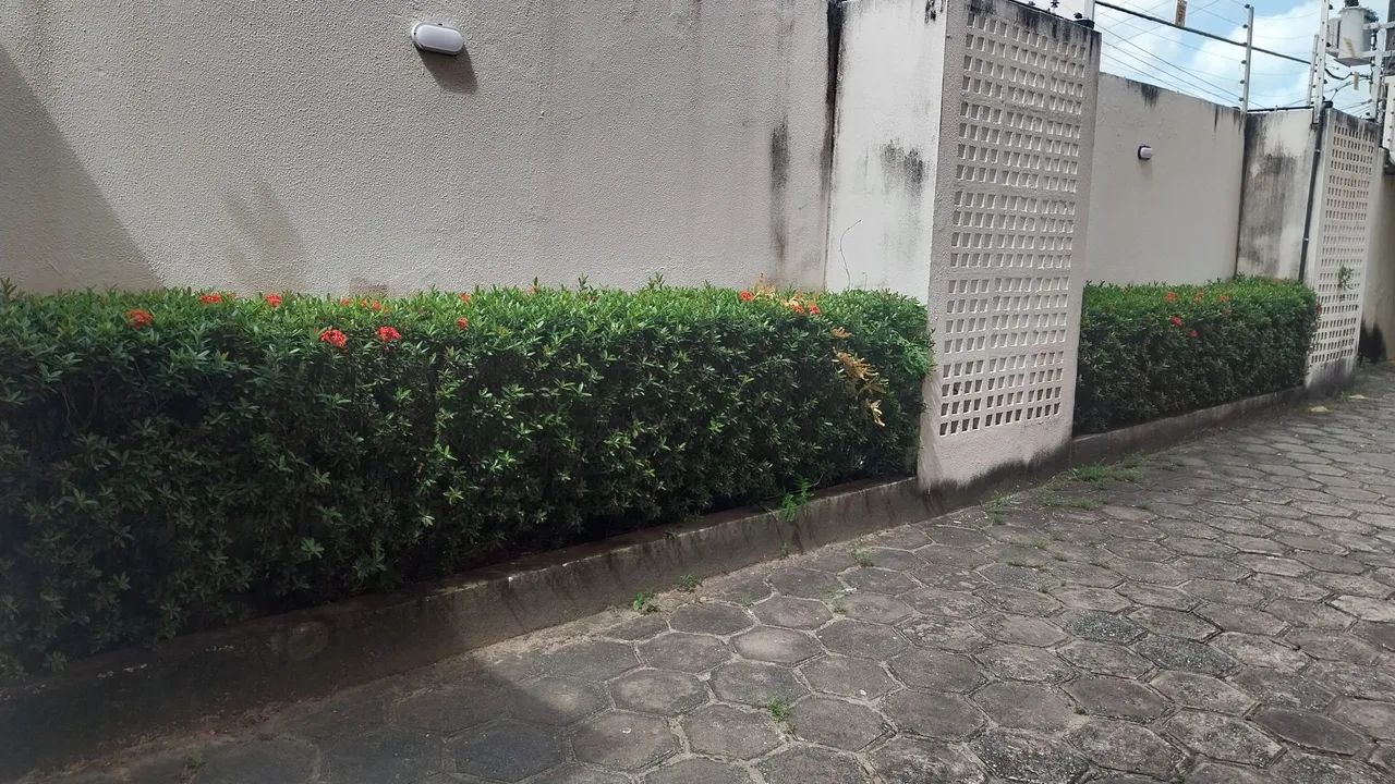 Faço limpeza em jardim 