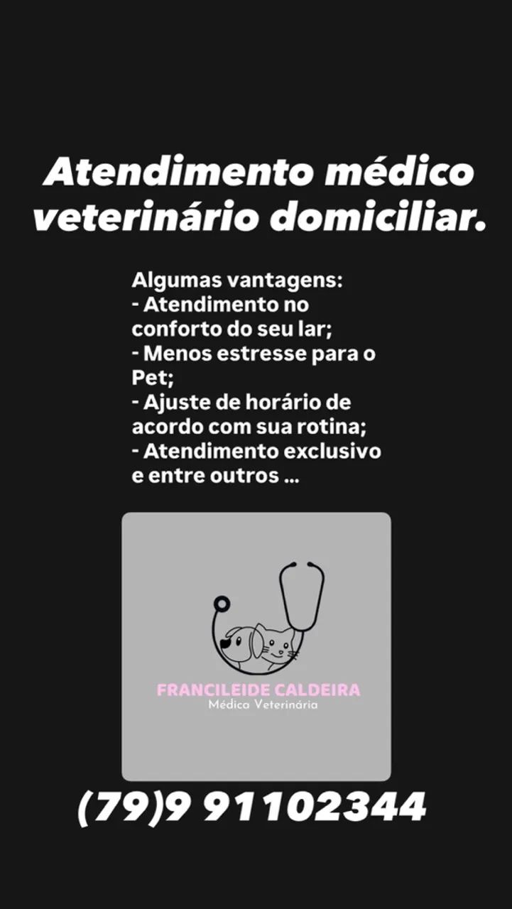 Médica Veterinaria Domicíliar - Foto 2