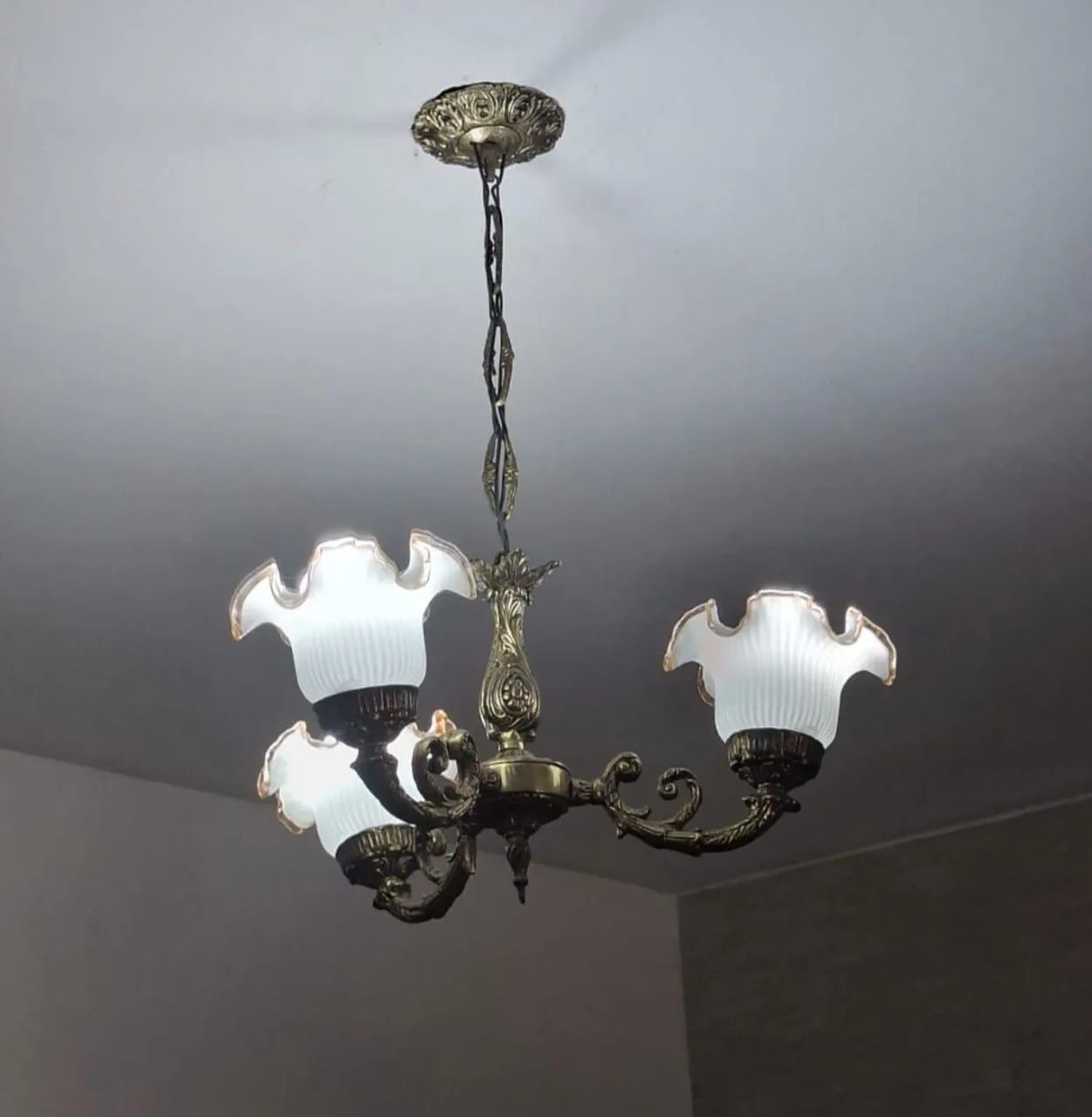 Lustre lindo