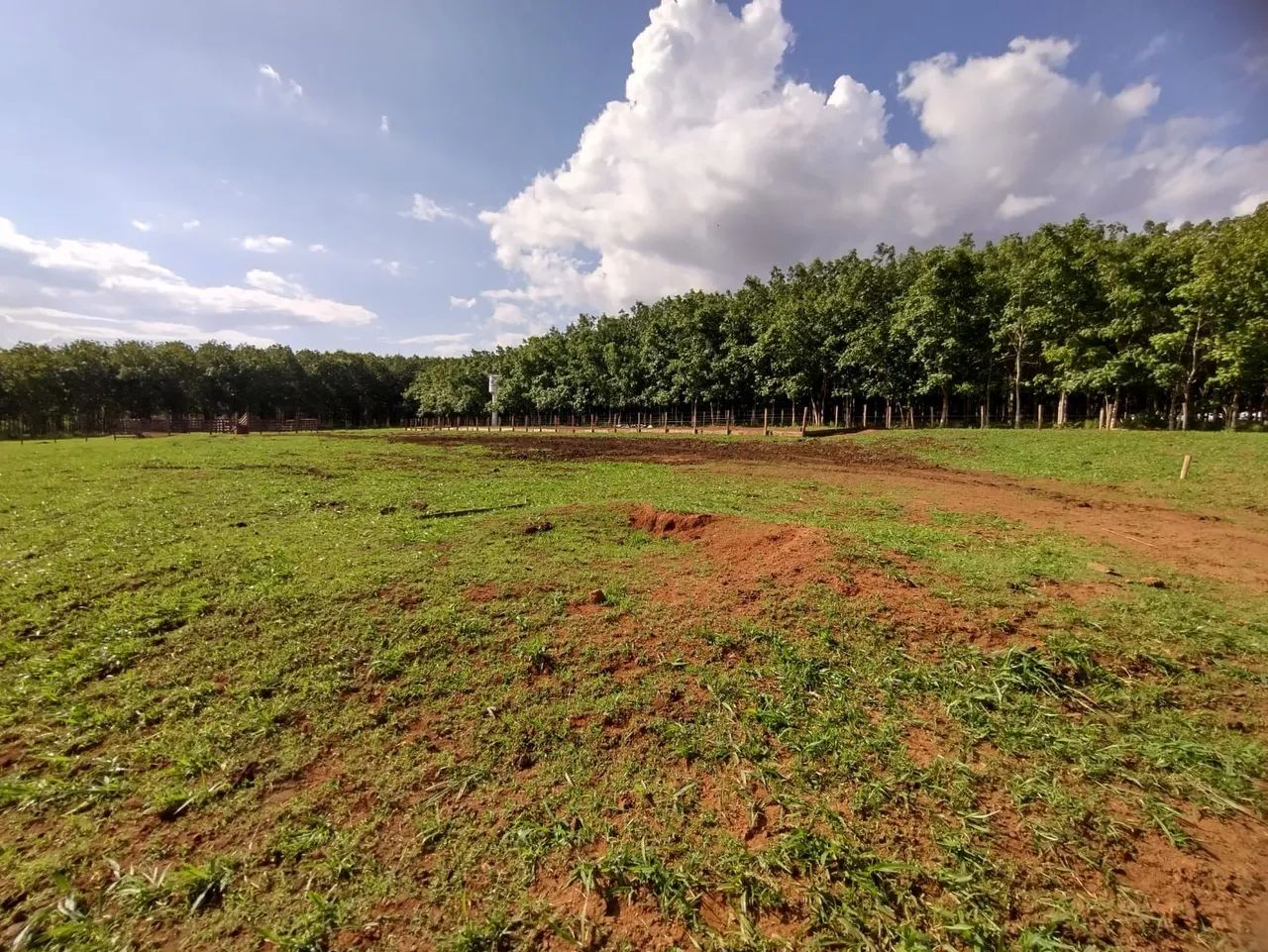 Fazenda Extra 37 alqueires - Silvânia  - Foto 4