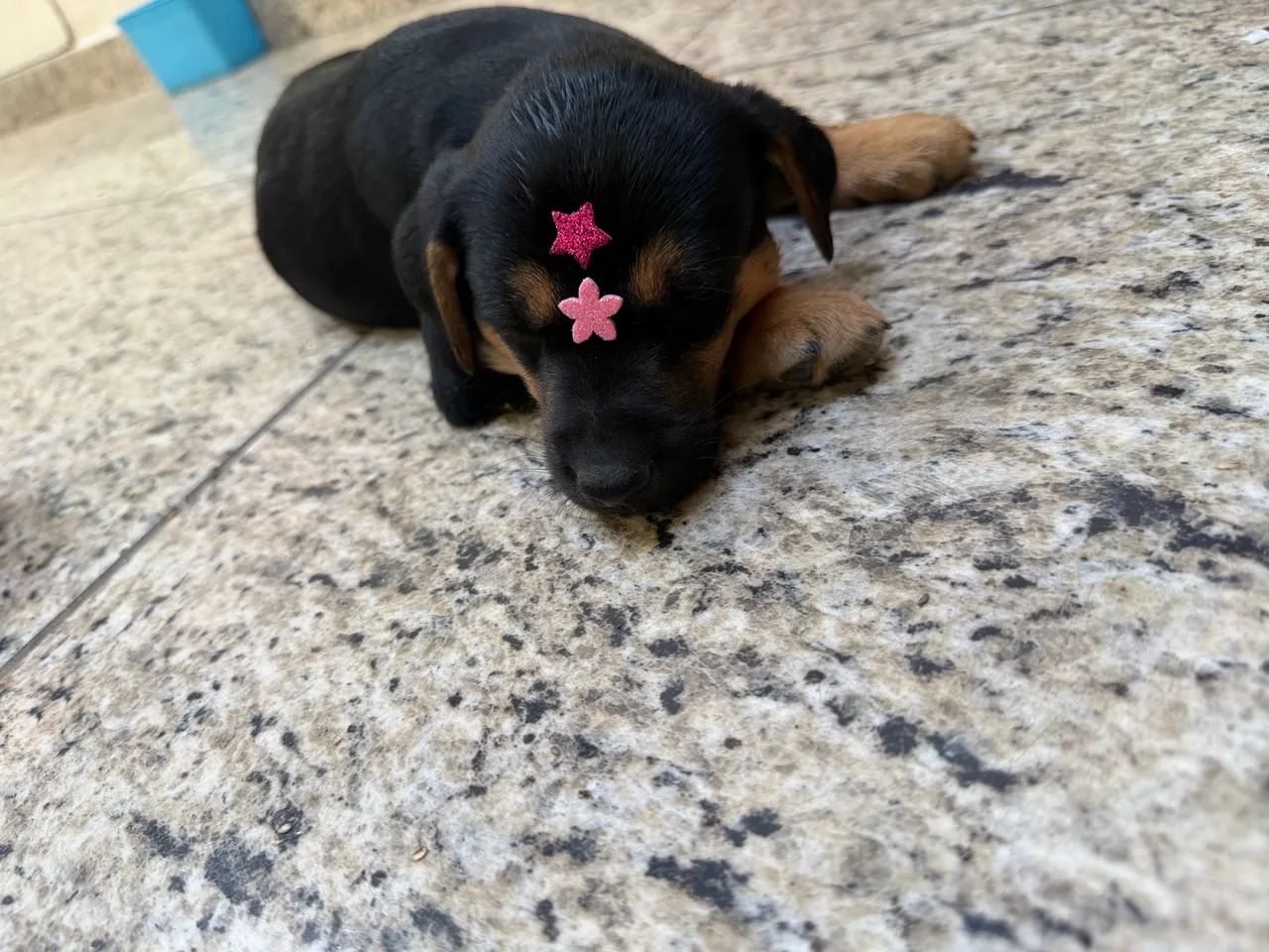DOAÇÃO  - Foto 2