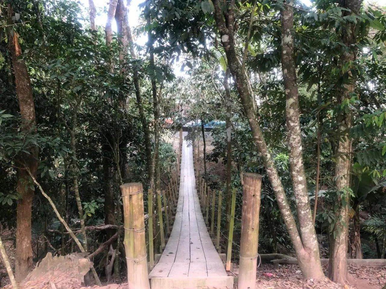 Chácara | Venda | Porto Escalvados - Foto 3