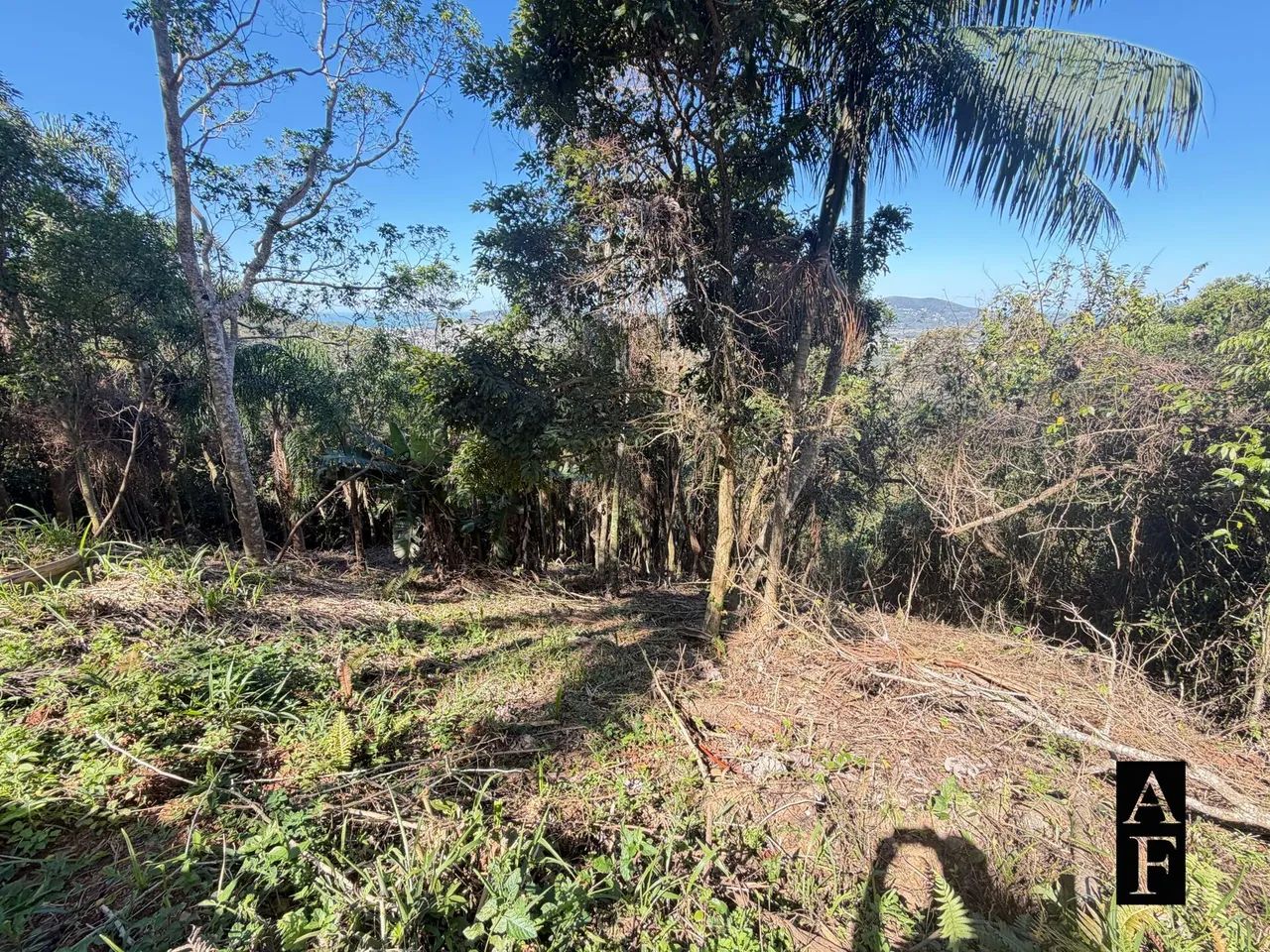 Terreno com vista mar e lagoa em Garopaba SC - Foto 5