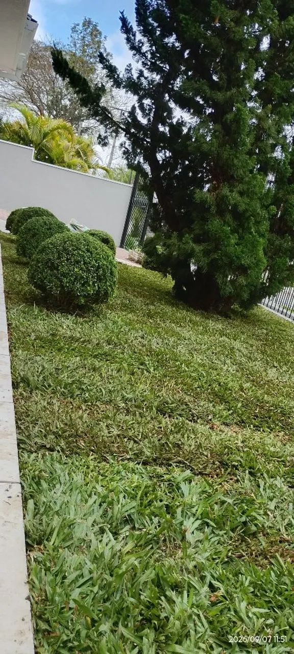 Plantio de grama  - Foto 4