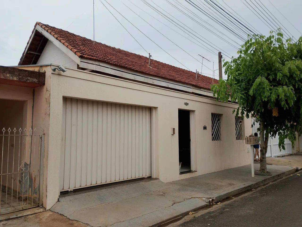 Foto - São José do Rio Preto - São Francisco