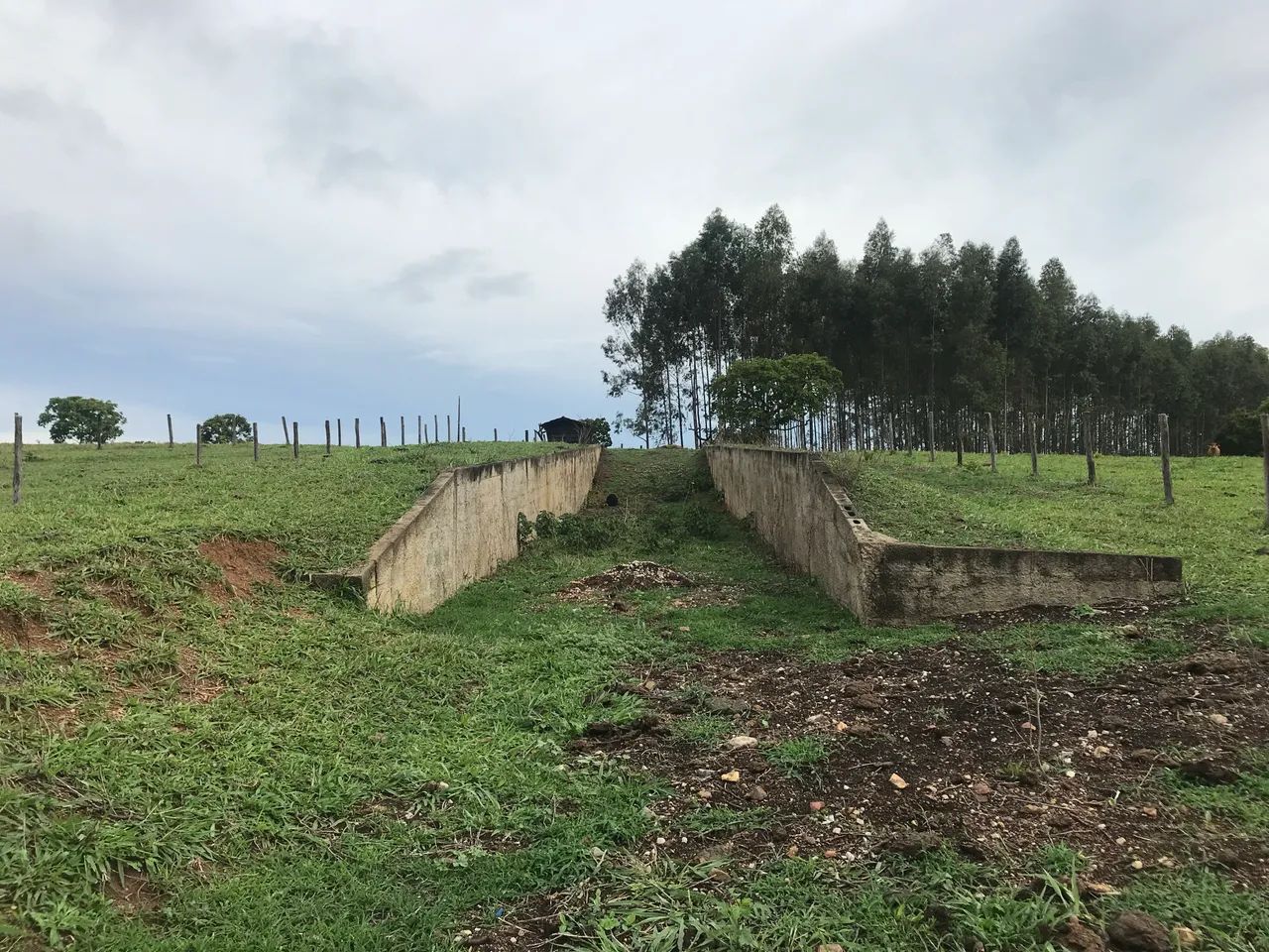 Fazenda em Hidrolândia  - Foto 4