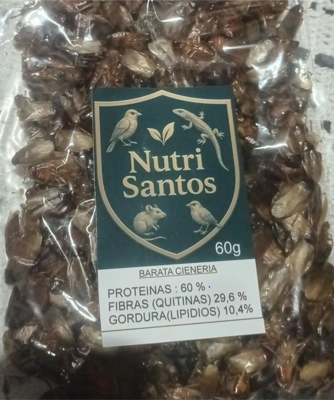 Barata ceneria desidratada. 