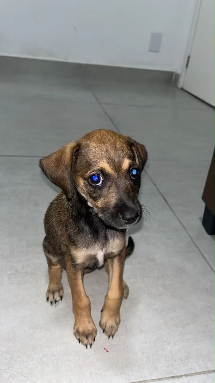 PARA DOAR!!! - Foto 3
