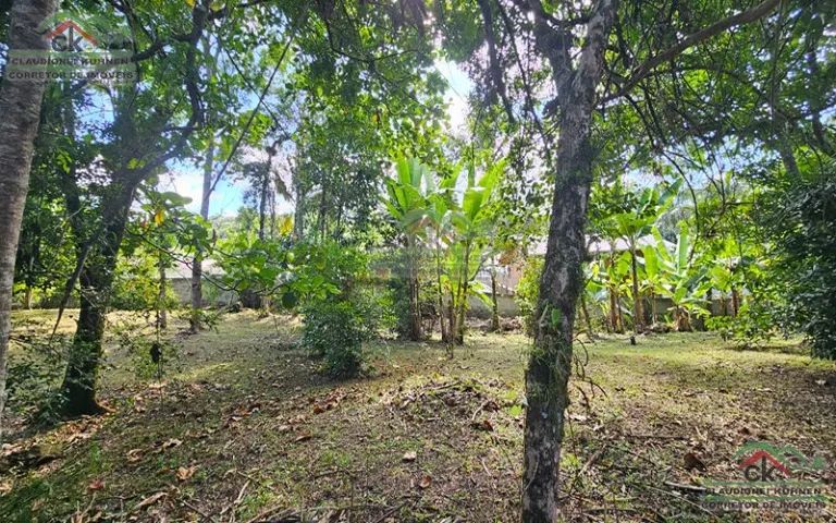 Chácara com casa 02 quartos no Centro de Águas Mornas, com Escritura Pública - Foto 5