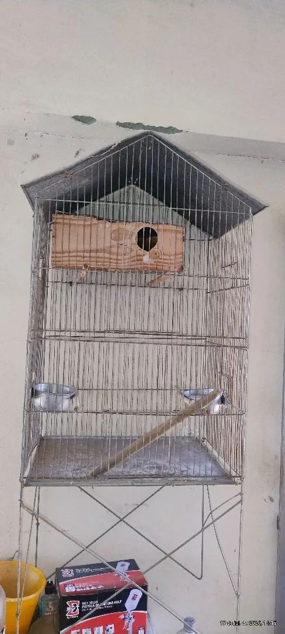 Gaiola - Foto 2