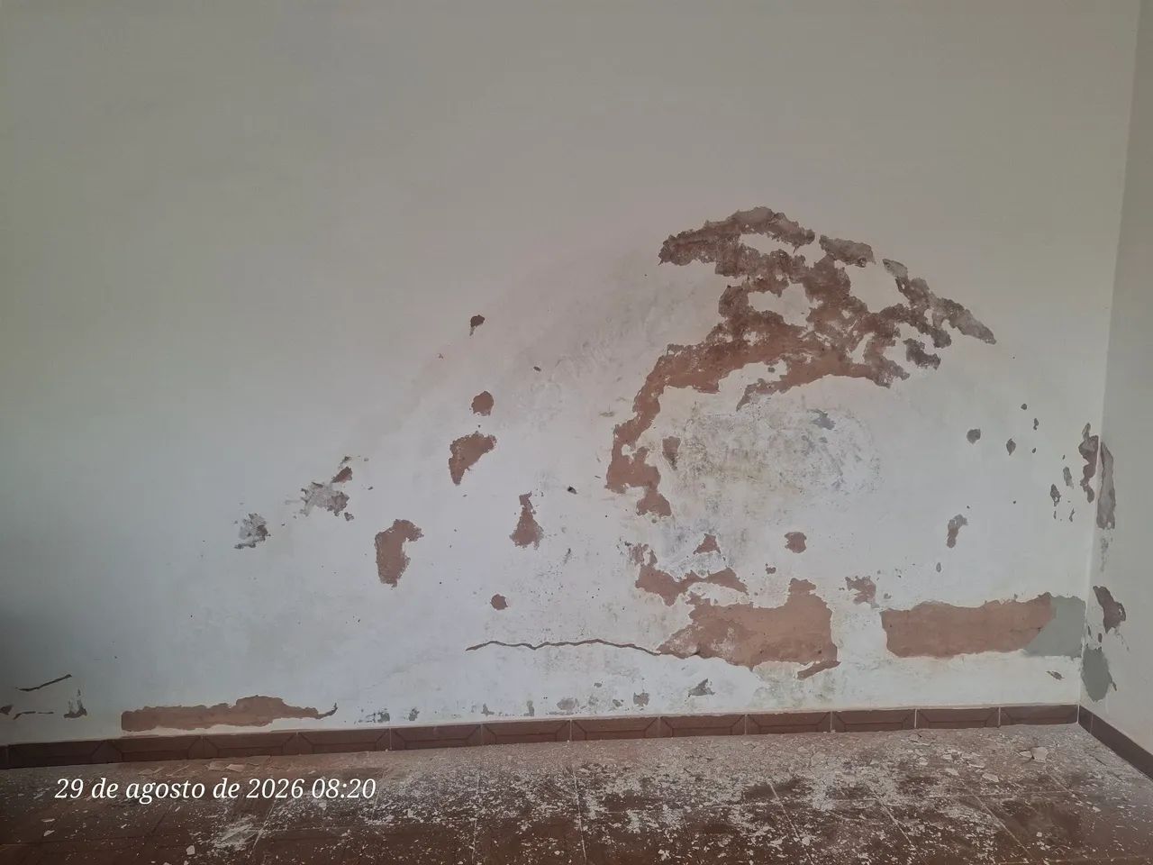 Pintor Profissional  - Foto 4