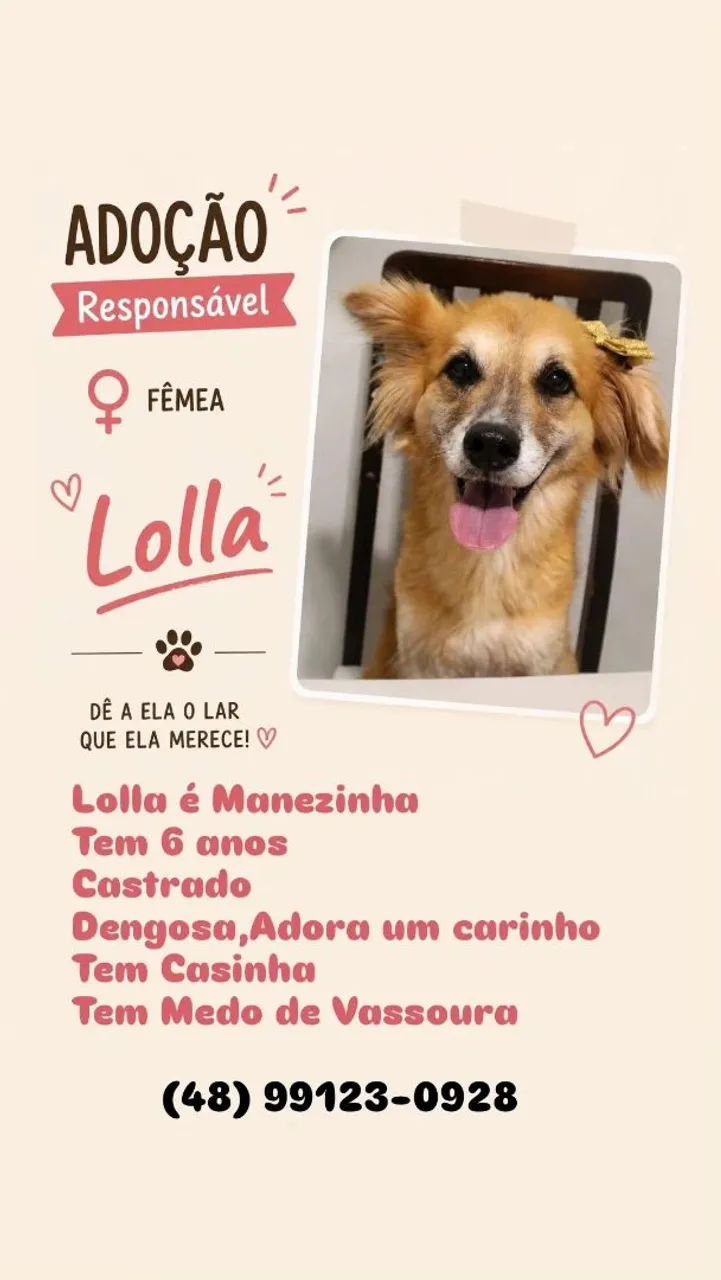 Adoção  - Foto 2