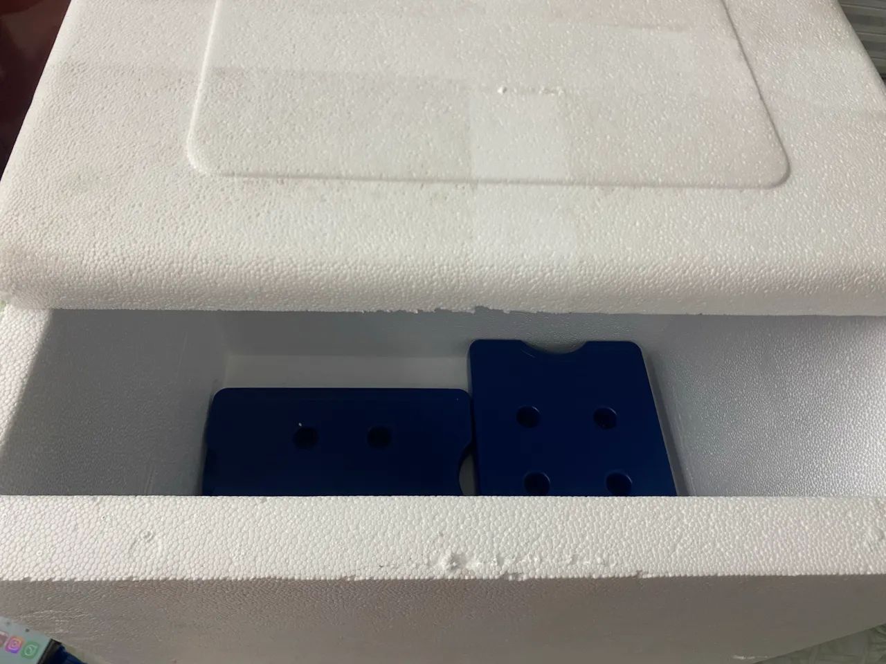 Caixas de isopor de 25 litros 