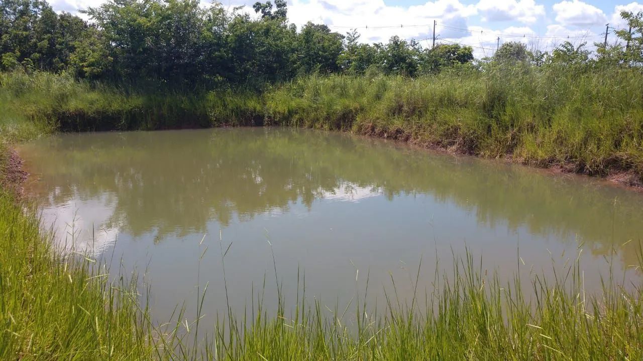 Terrenos para chácara