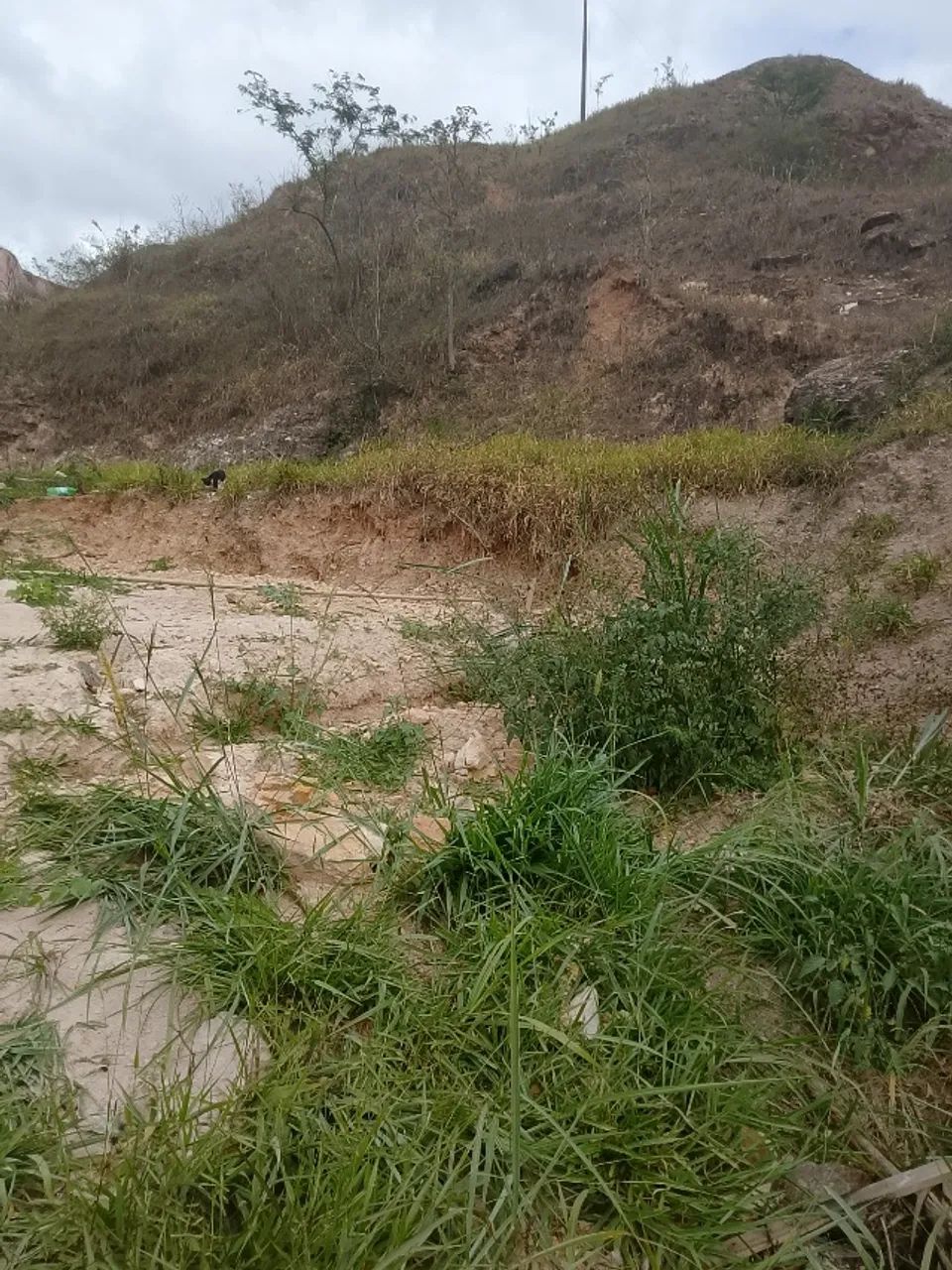 lote - Foto 4