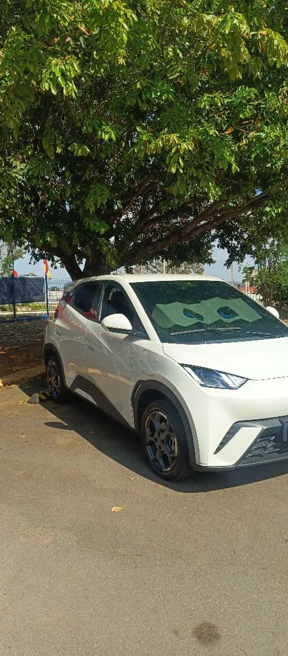 BYD Dolphin Mini (Elétrico) 2026 - Foto 2