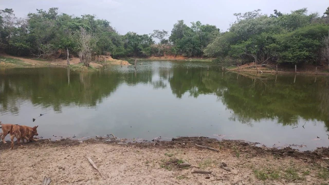 FAZENDA À  VENDA / BREU BRANCO 