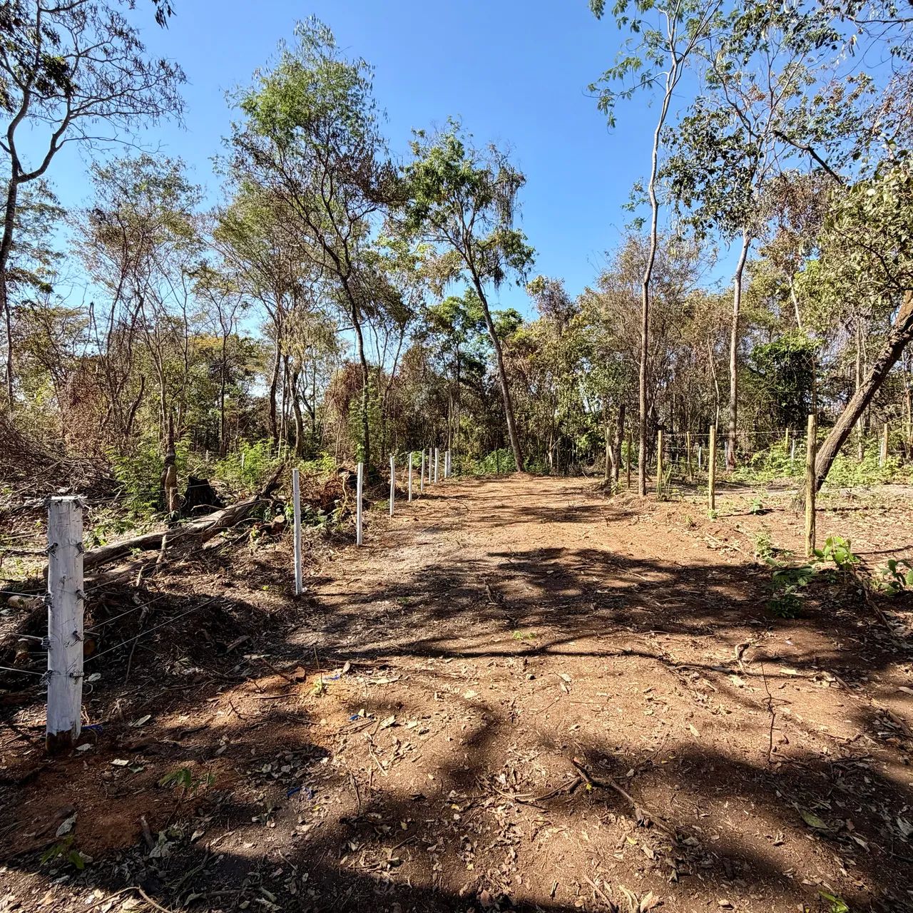 Chácara 1.100m2 em Bonfinópolis GO - Foto 3