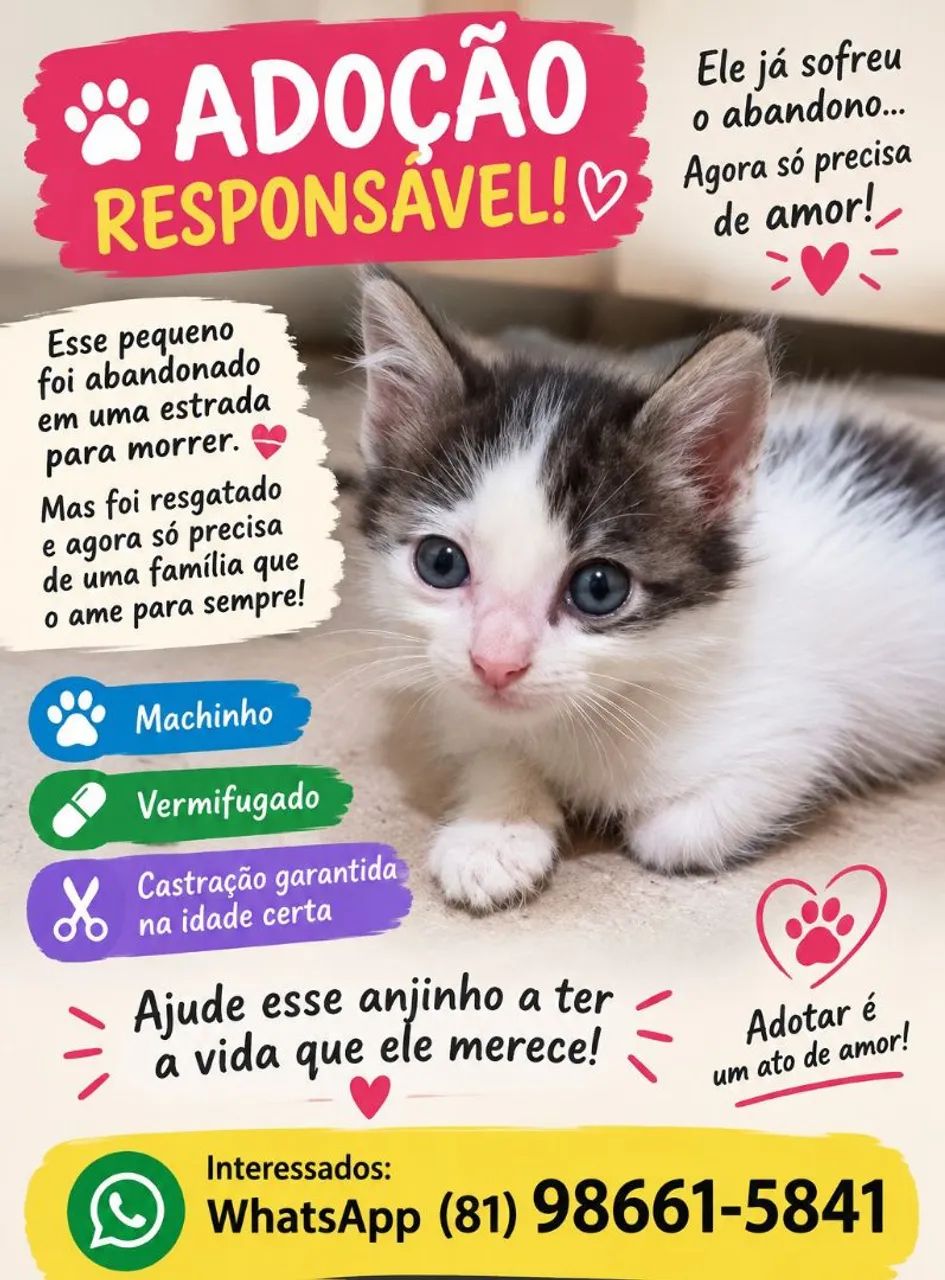Um lindo bebê  - Foto 4