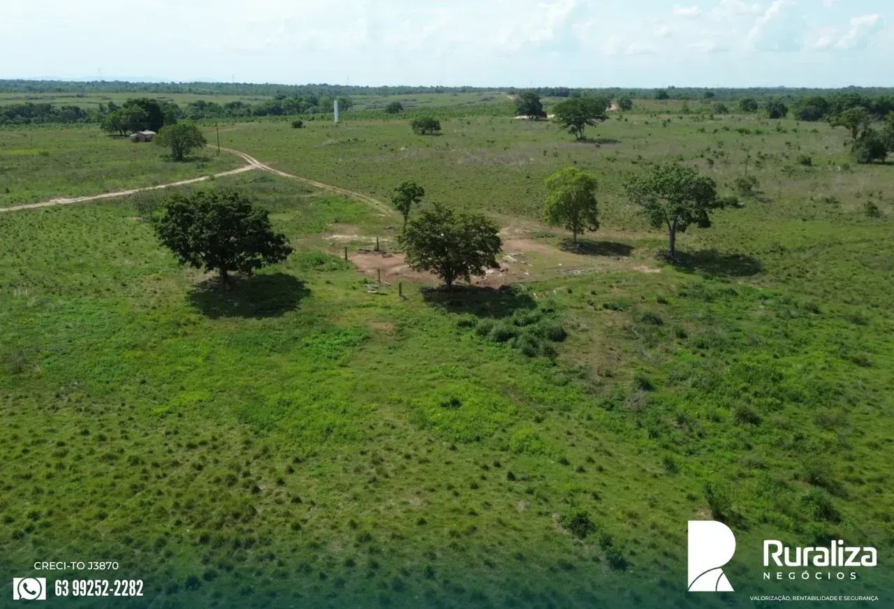 248 ALQUEIRES | 600 HA PRONTOS PARA AGRICULTURA | SAFRA E SAFRINHA - Foto 4