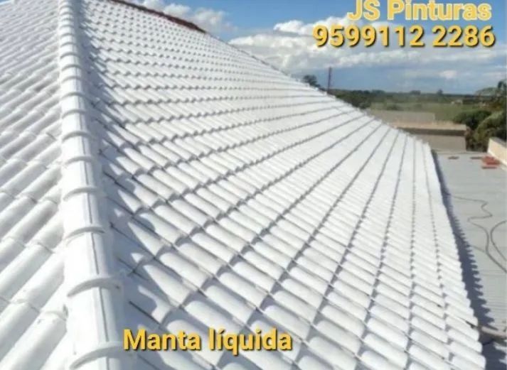 Pintor Profissional  - Foto 2