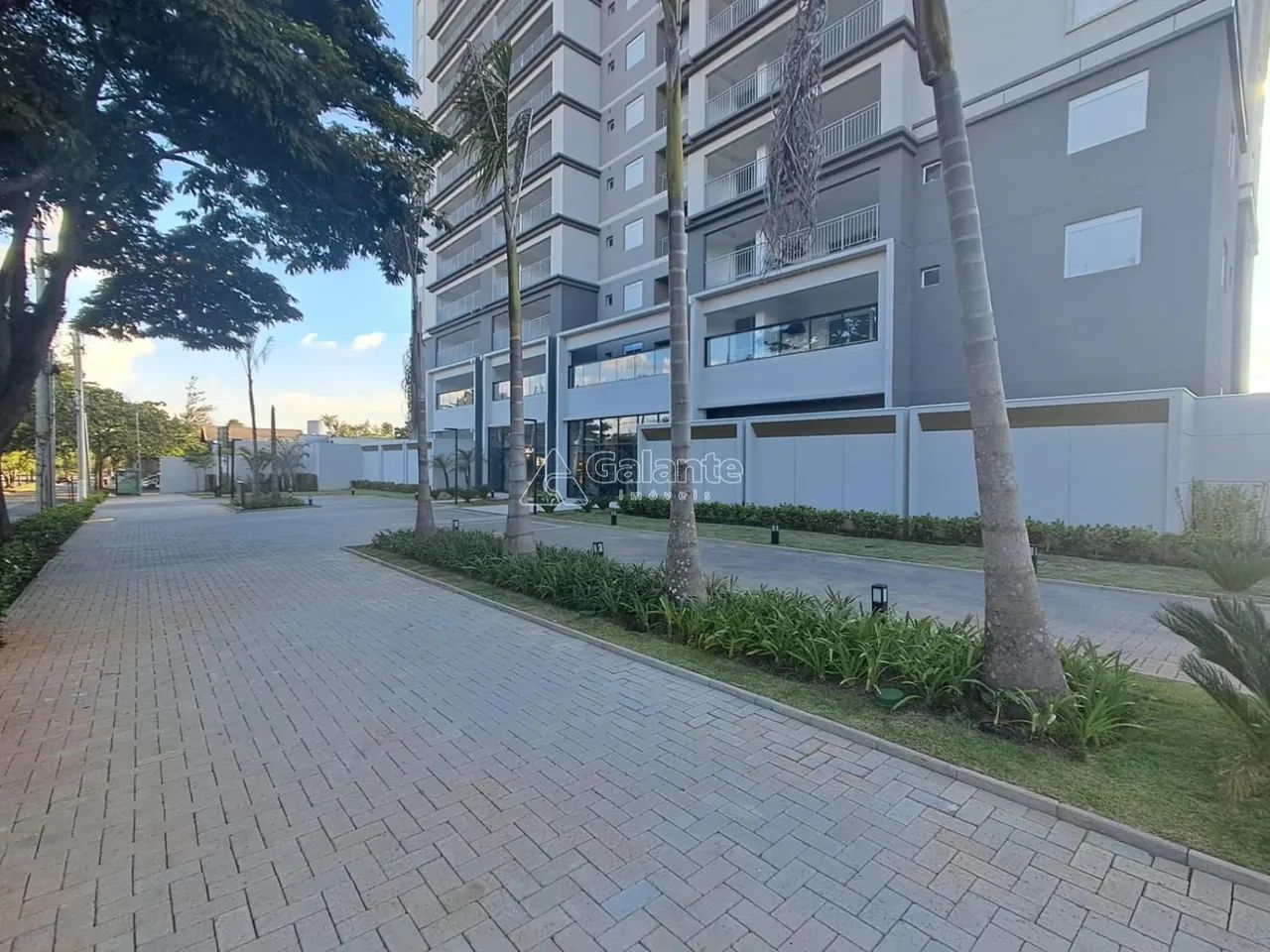apartamento - Jardim das Paineiras - Campinas - Foto 2