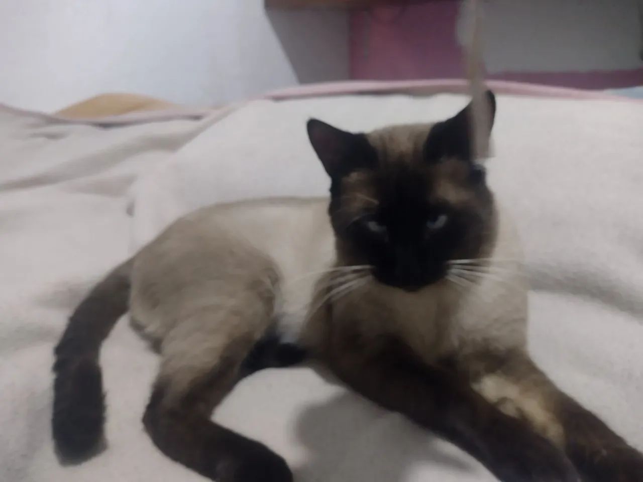 Doação 
