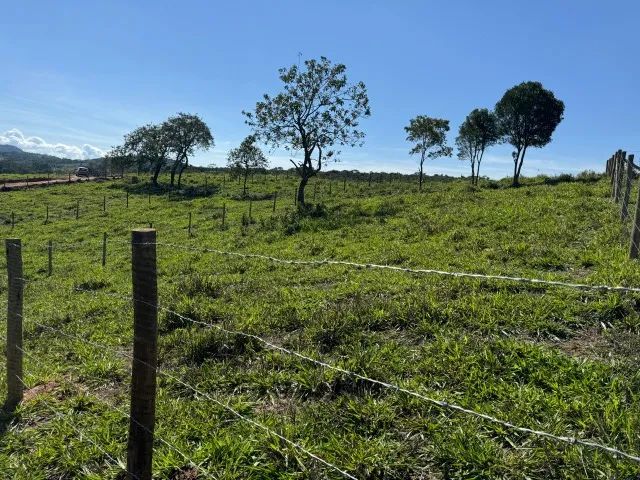 Chácara 1.000 á Venda em Bonfim-MG - Foto 3