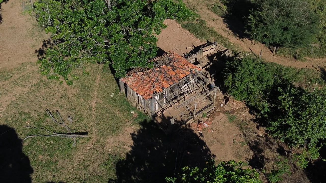 Fazenda buritis rio Pernambuco  - Foto 2