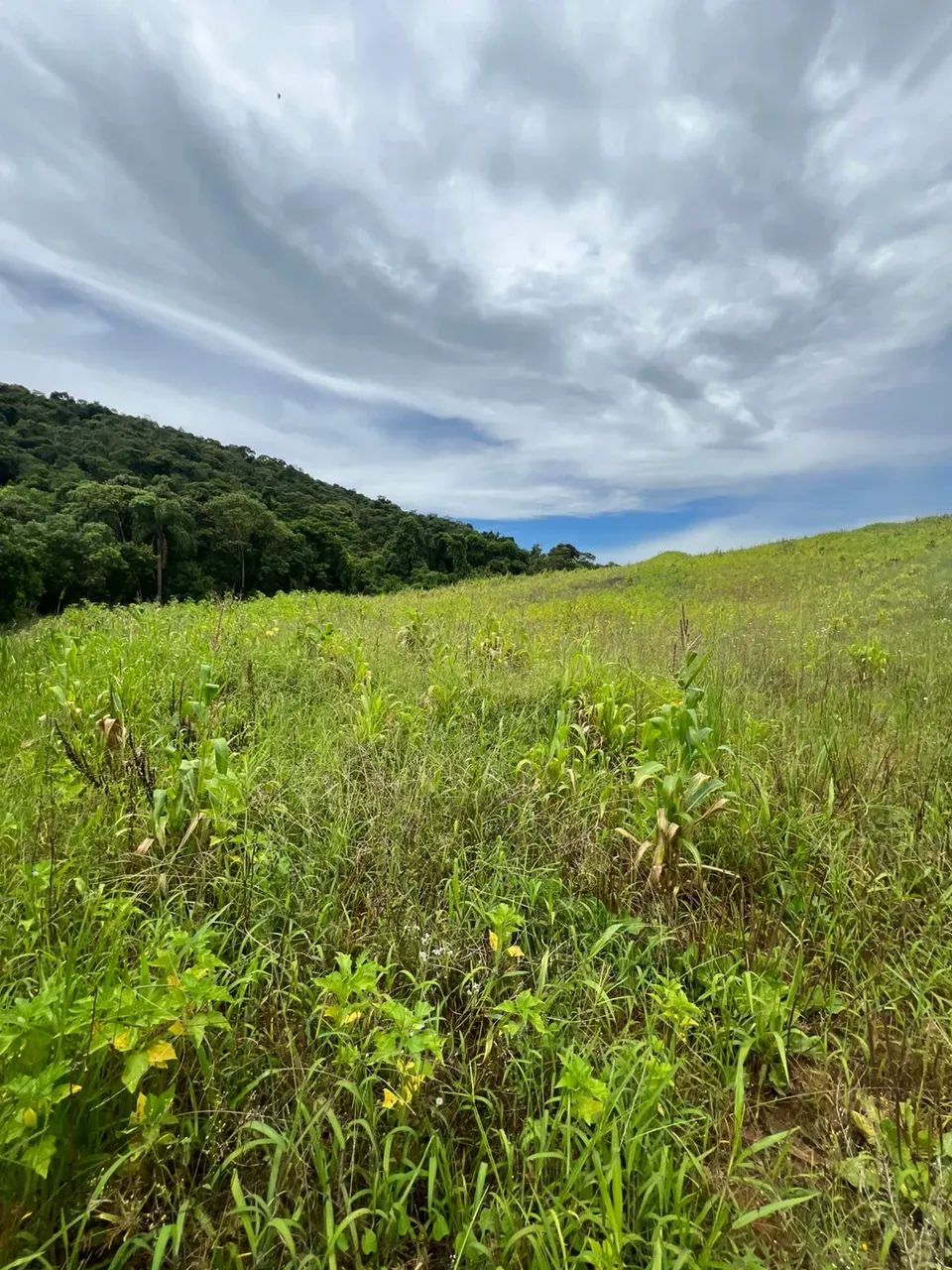 Bairro tranquilo - Foto 5