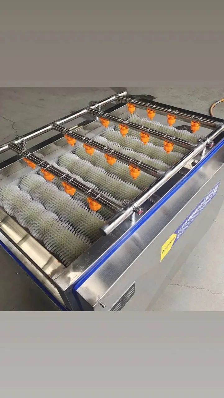 Máquina para lavar polpa coco seco