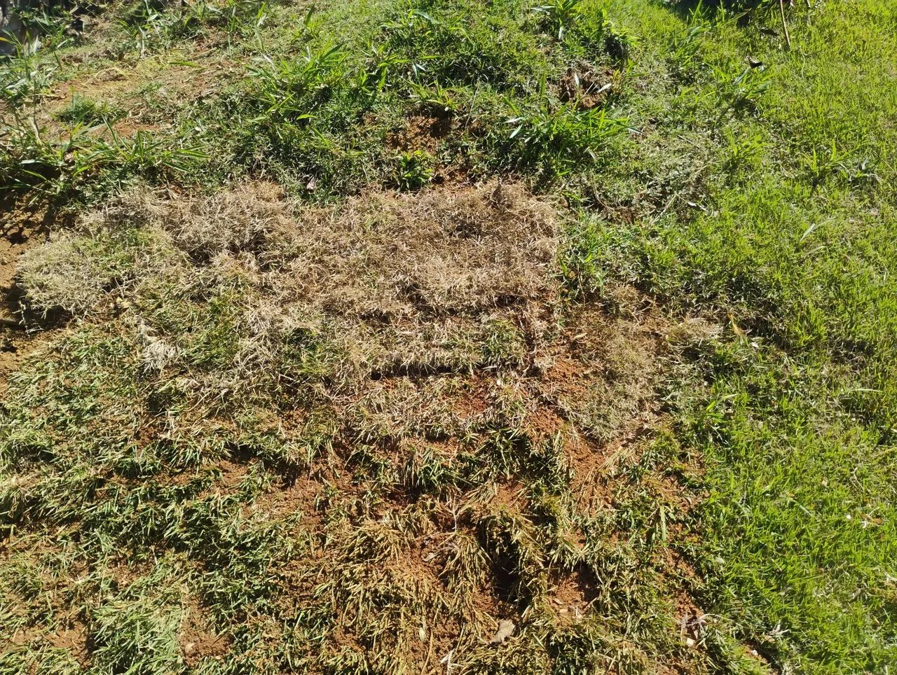 Serviço gerais  - Foto 2