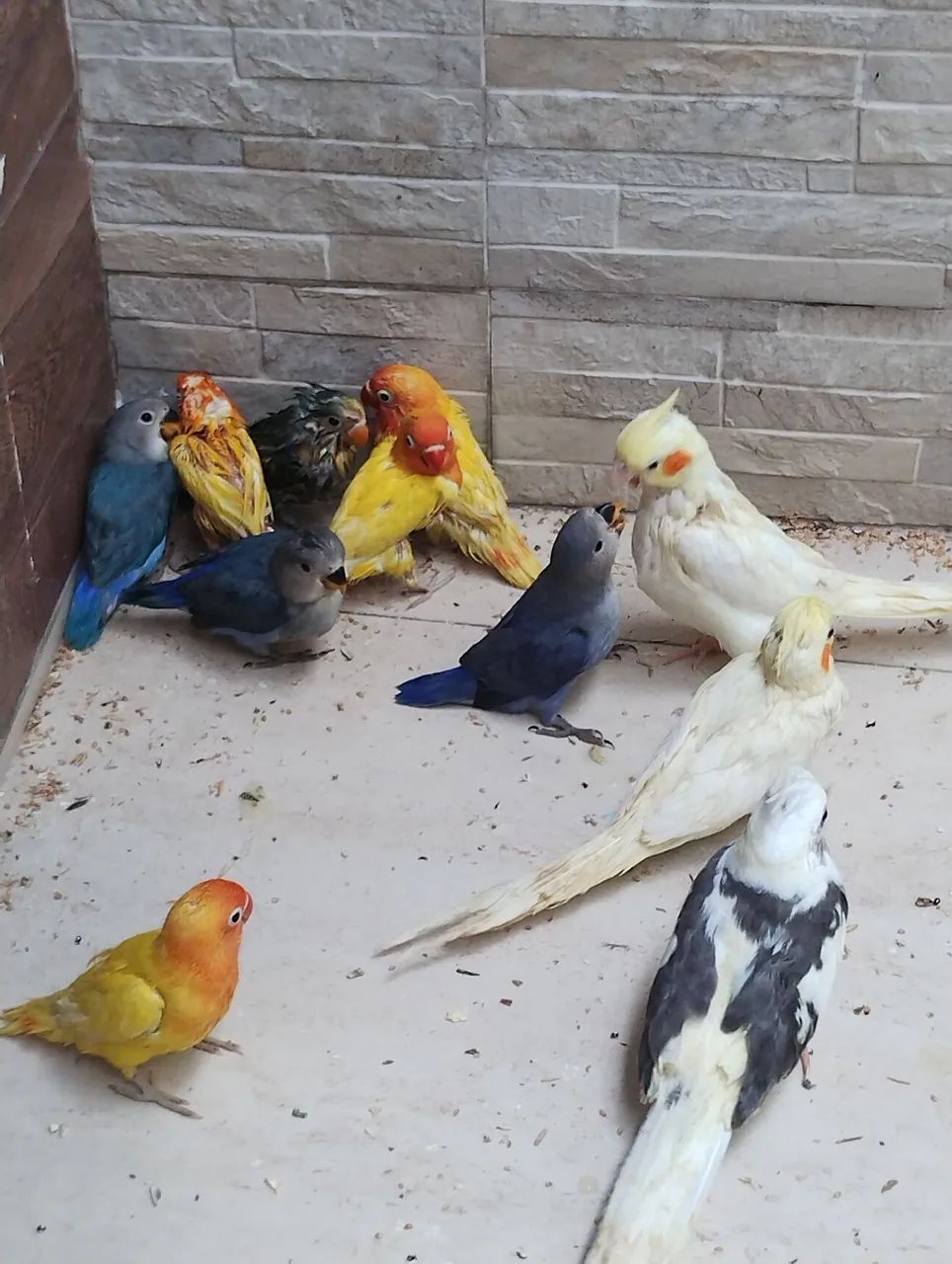 Um lindo presente para quem vc ama