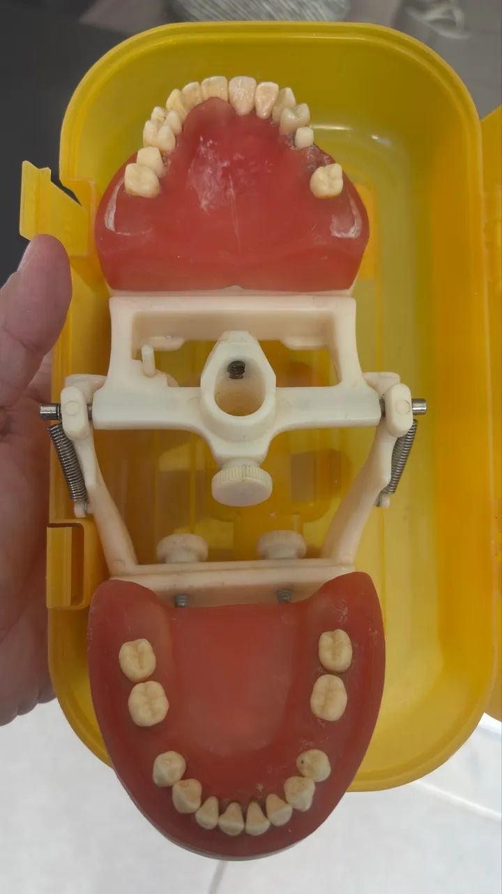 Manequim Periodontia Pronew  - Foto 3