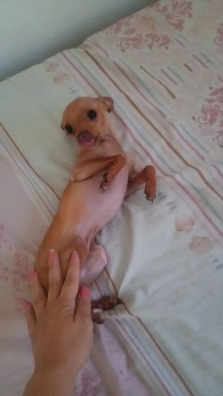 A doação - Foto 2