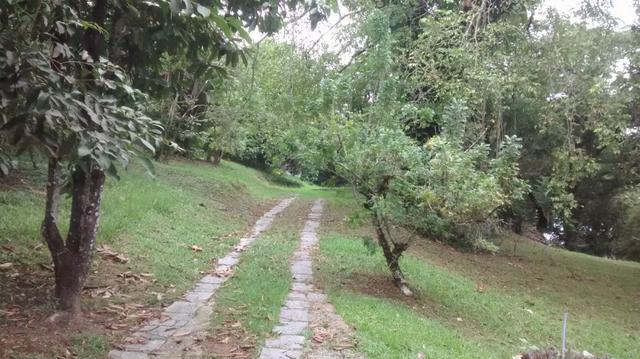 Jordão corretores - Ótimo sítio em Agrobrasil - Foto 10