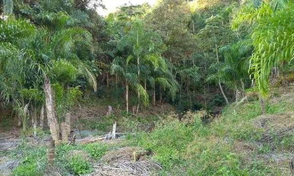 Belíssima fazenda em Cachoeiras de Macacu RJ 122 oportunidade!!! - Foto 9