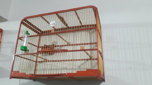 Gaiolas - Foto 2