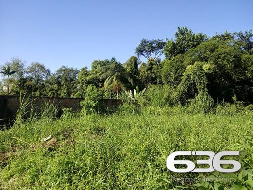 Terreno | Joinville | Santo Antônio - Foto 5