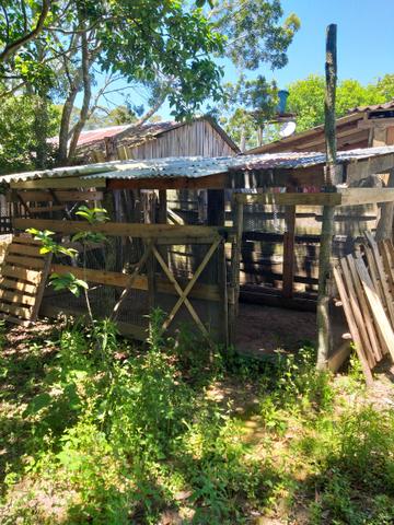 Terreno em Itapuã - Foto 4